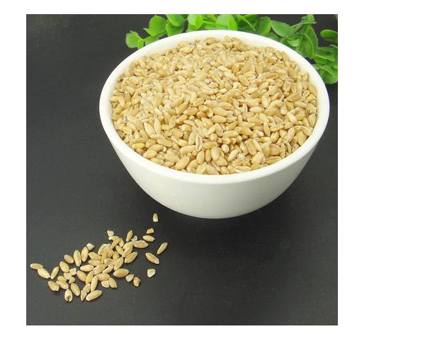 淮小麦与浮小麦的区别是什么？