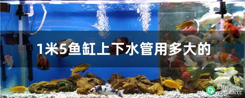 1米5鱼缸上下水管用多大的