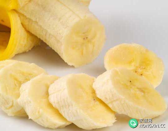香蕉种植管理方法