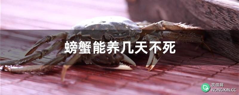 螃蟹能养几天不死