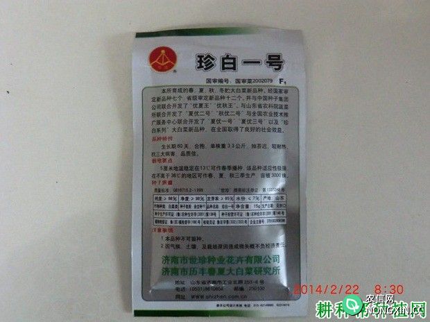 珍白一号大白菜品种好不好