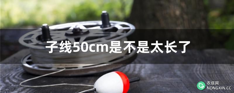 子线50cm是不是太长了