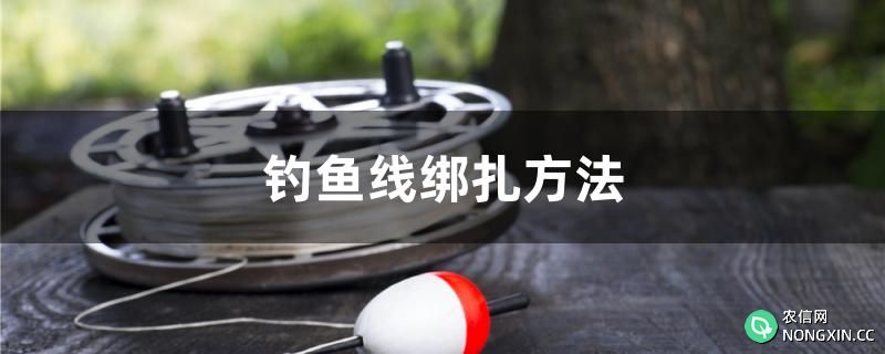 钓鱼线绑扎方法