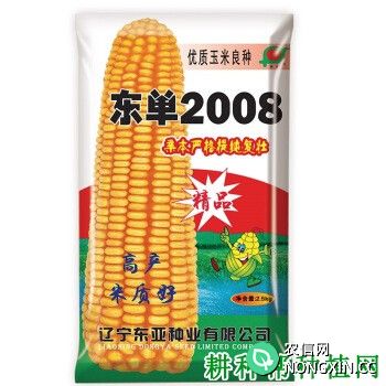 东单2008玉米品种好不好