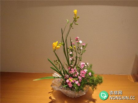 插花图片