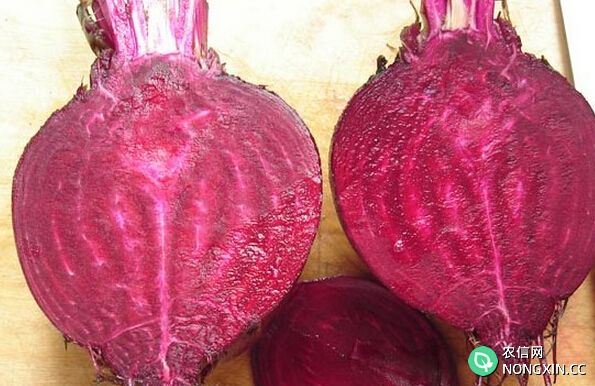 紫菜头的营养价值和功效