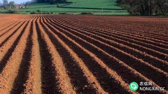 农作物高效施肥需看土壤