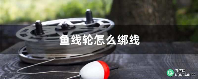 鱼线轮怎么绑线