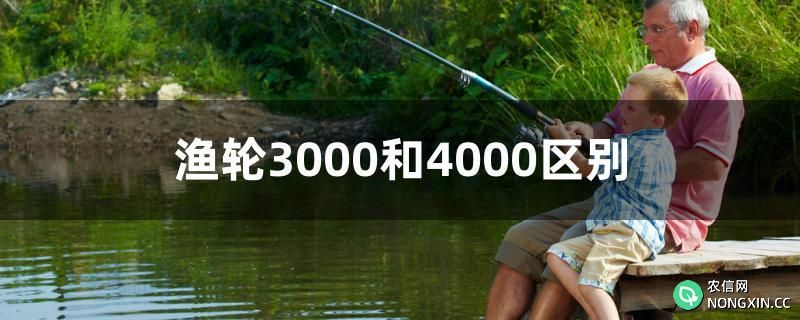 渔轮3000和4000区别