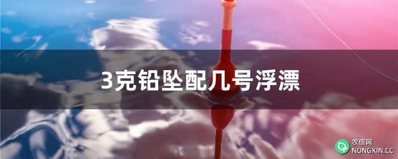 3克铅坠配几号浮漂