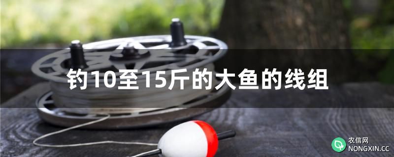 钓10至15斤的大鱼的线组