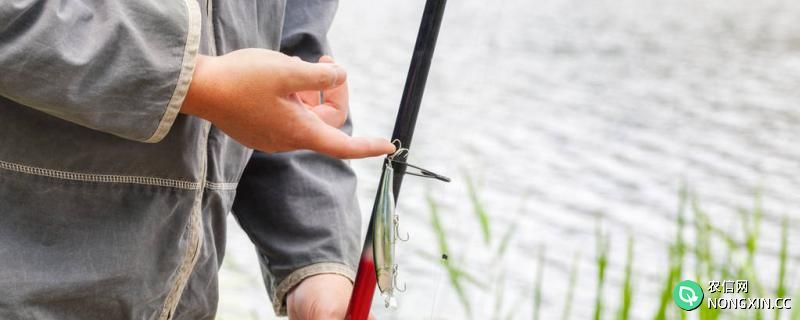 第一次钓鱼怎么能钓到鱼，选什么鱼竿容易钓鱼