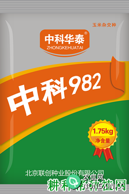 中科982玉米品种好不好