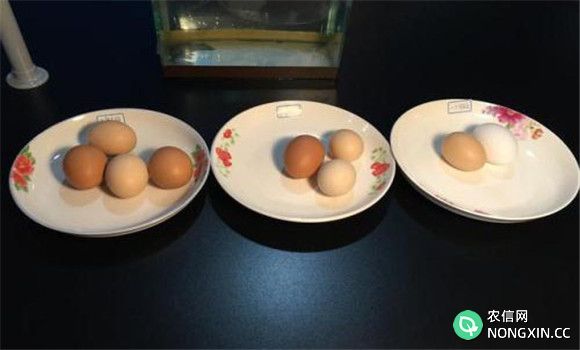 鸡蛋新鲜度的理化检测方法