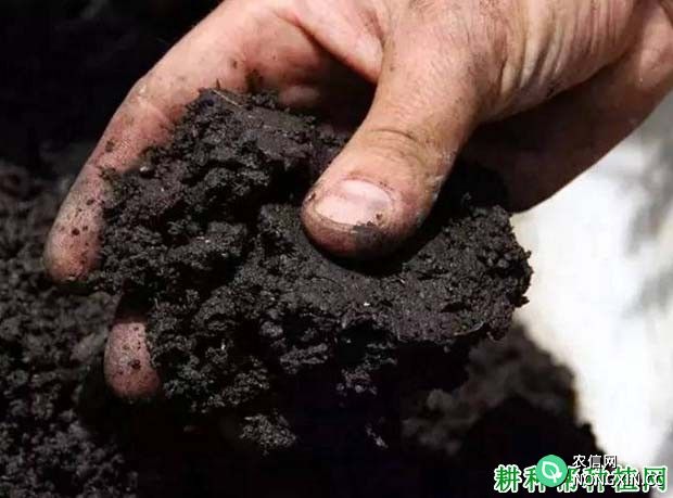 如何给土壤培肥