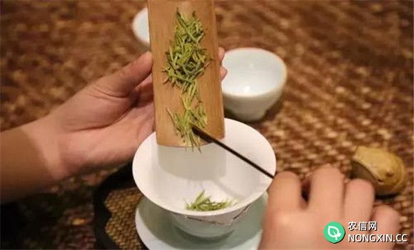 安吉白茶的冲泡方法