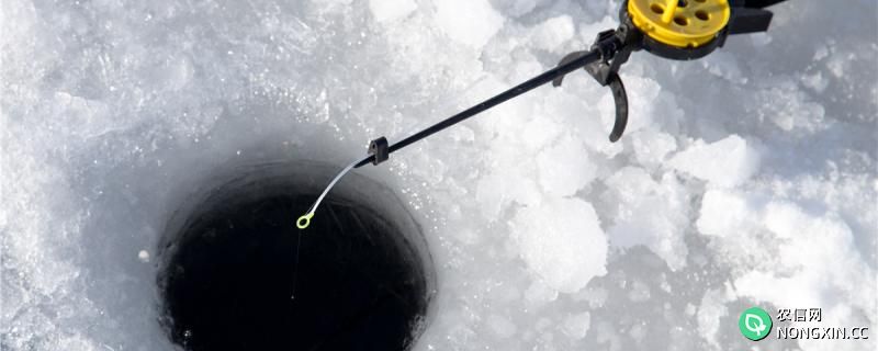 冬天有冰怎么钓鱼?