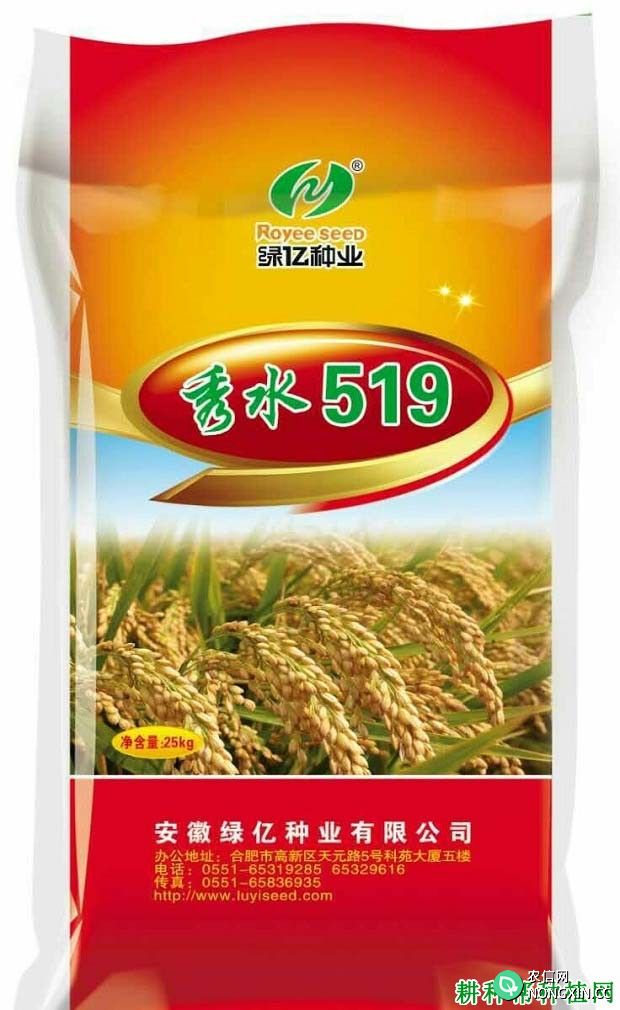 秀水519常规籼稻水稻品种好不好