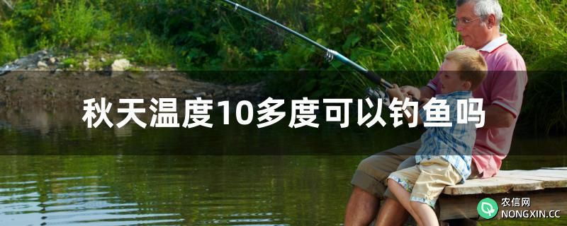 秋天温度10多度可以钓鱼吗