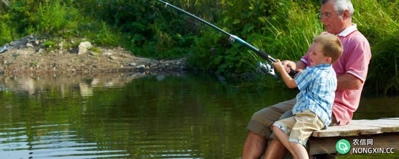 夏天钓鱼用什么味型，用几米的竿最好