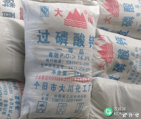 种植水稻常用哪些肥料