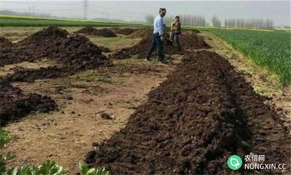 改善土壤理化性状，提高土墩肥力