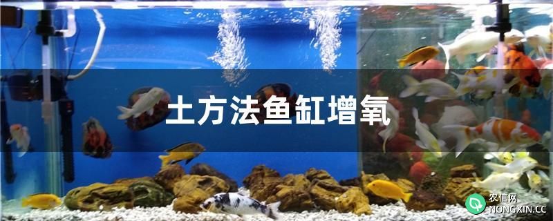 土方法鱼缸增氧