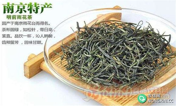 雨花茶属于什么茶