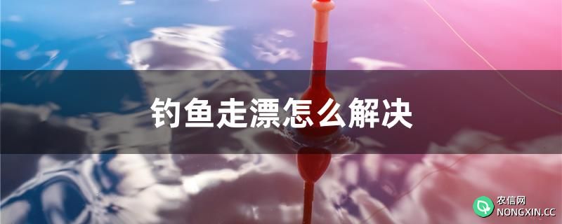 钓鱼走漂怎么解决