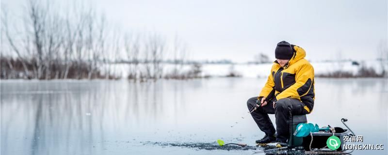 冬天冰上钓鱼怎么钓