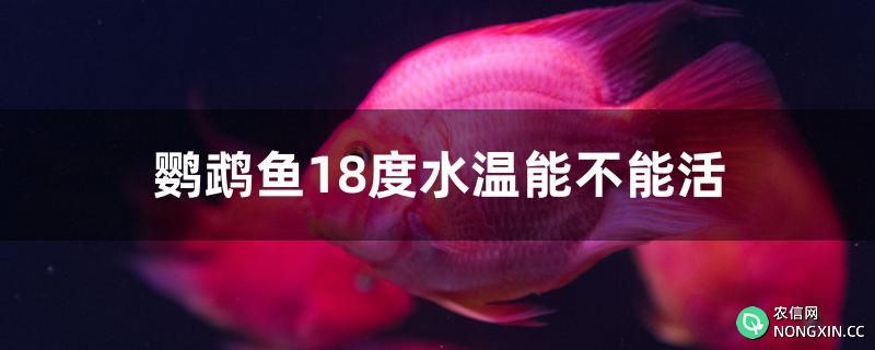 鹦鹉鱼18度水温能不能活