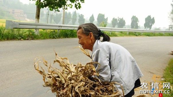 《今年春节我替爸妈下厨房》-中国钓鱼人网2014春节公益倡议