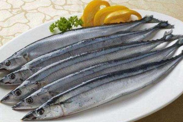 秋刀鱼和鲅鱼的区别是什么 秋刀鱼的功效作用