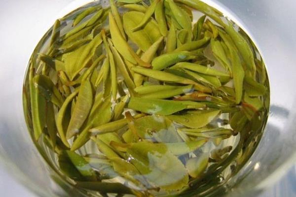 霍山黄芽市场价格多少钱一斤 霍山黄芽属于什么茶