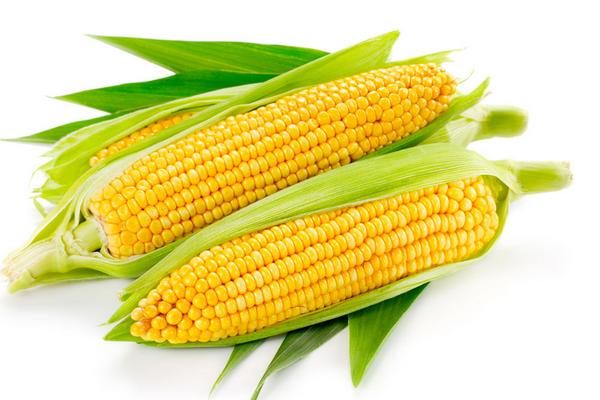 怎样吃玉米最有营养呢?