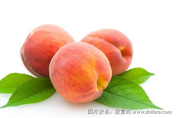 水蜜桃和桃子的区别是什么