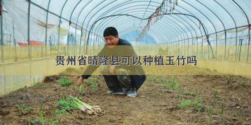 贵州省晴隆县可以种植玉竹吗