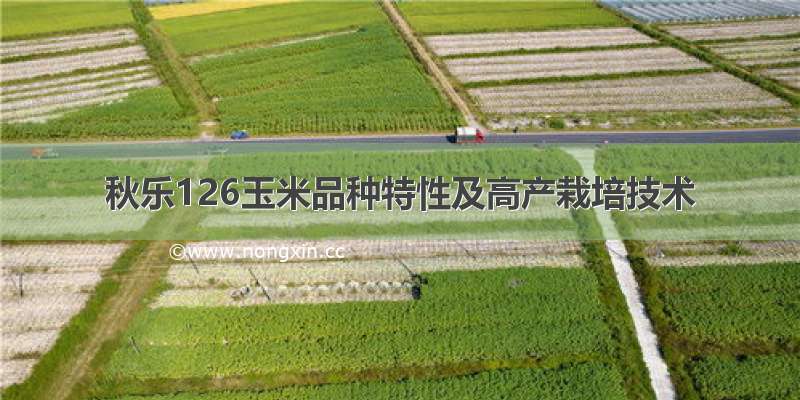秋乐126玉米品种特性及高产栽培技术