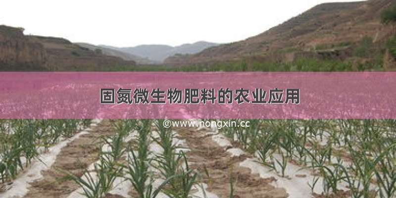 固氮微生物肥料的农业应用