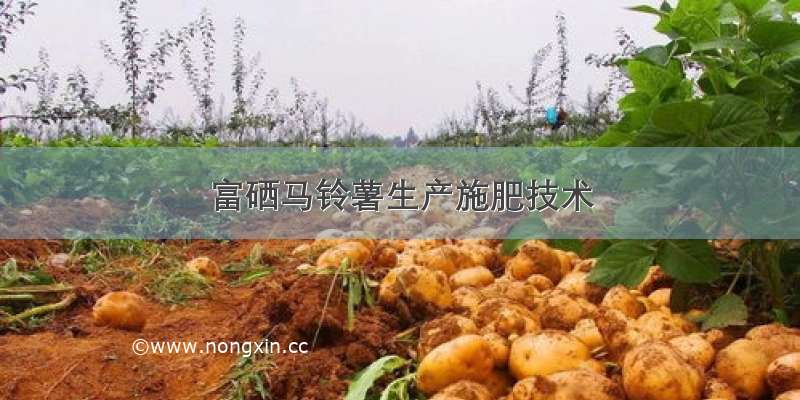 富硒马铃薯生产施肥技术