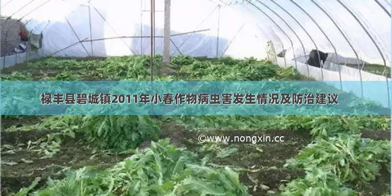禄丰县碧城镇2011年小春作物病虫害发生情况及防治建议