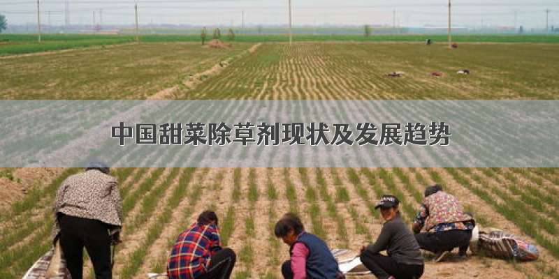 中国甜菜除草剂现状及发展趋势