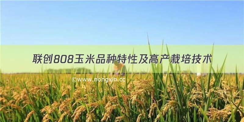 联创808玉米品种特性及高产栽培技术