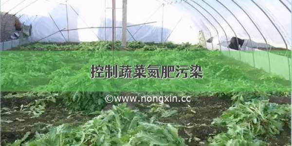 控制蔬菜氮肥污染
