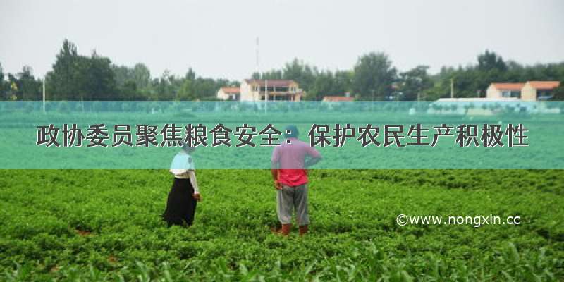 政协委员聚焦粮食安全：保护农民生产积极性