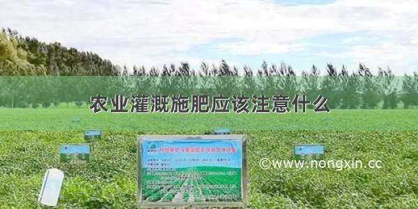 农业灌溉施肥应该注意什么