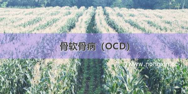骨软骨病（OCD）