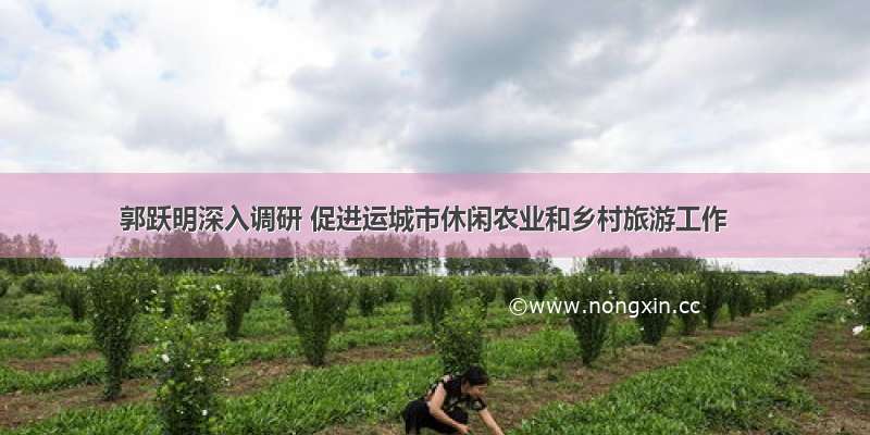 郭跃明深入调研 促进运城市休闲农业和乡村旅游工作