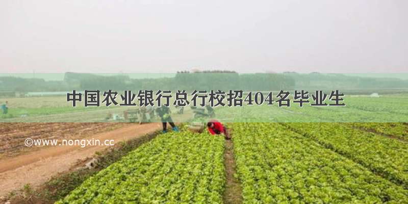 中国农业银行总行校招404名毕业生