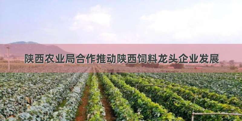 陕西农业局合作推动陕西饲料龙头企业发展